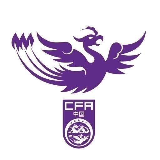  津媒：U17女足明日起兩戰(zhàn)日本定位整體實力，默契度有提升空間